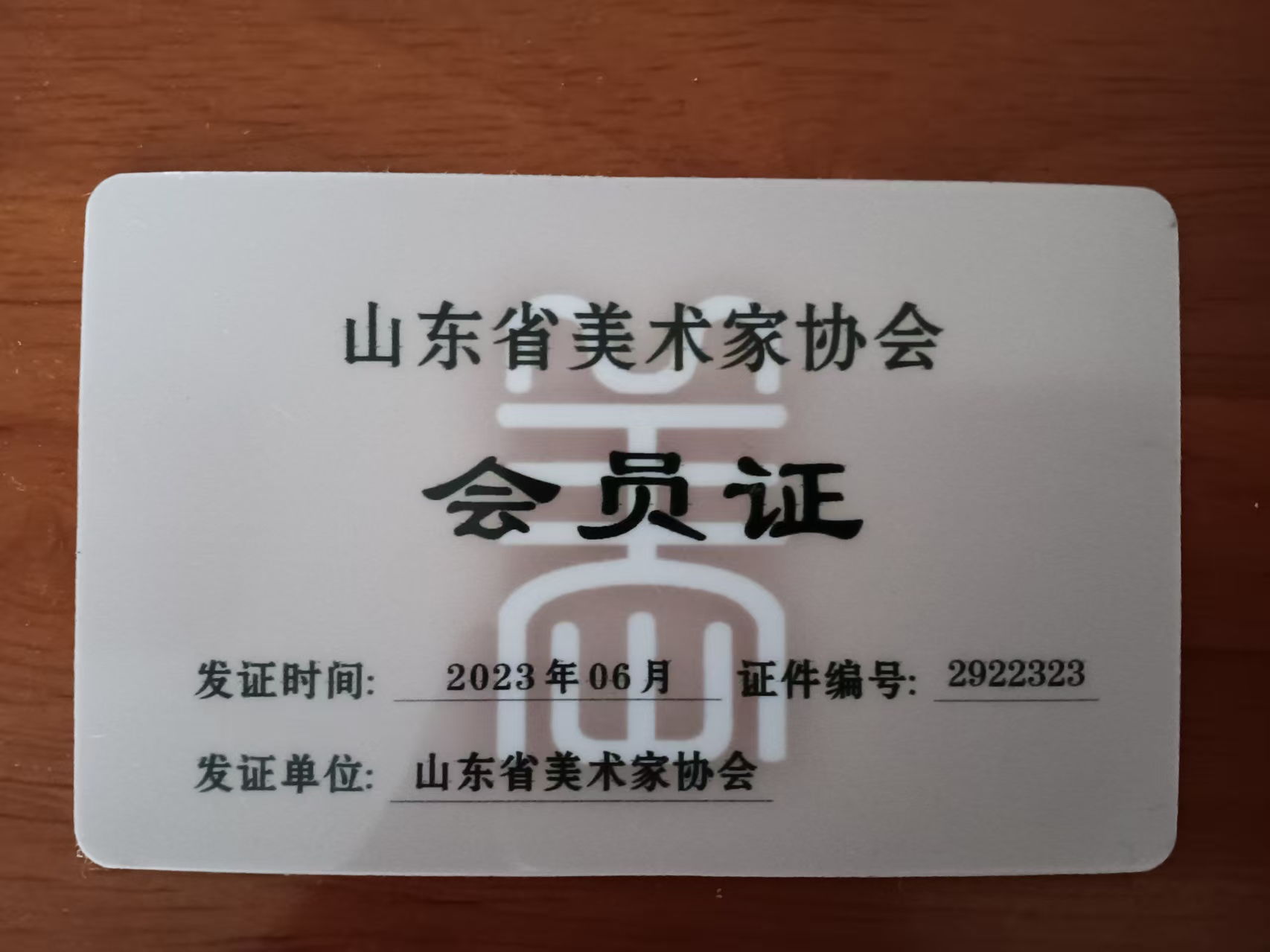 美术家协会会员